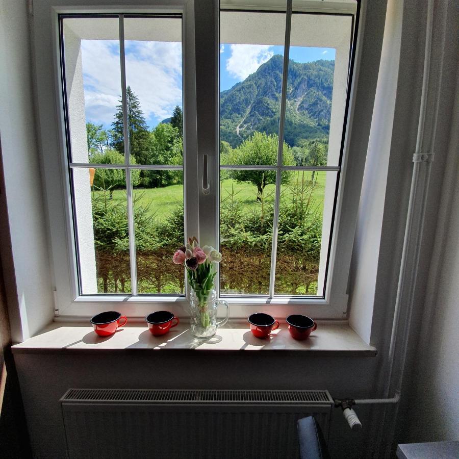 Apartma Rozle Mojstrana