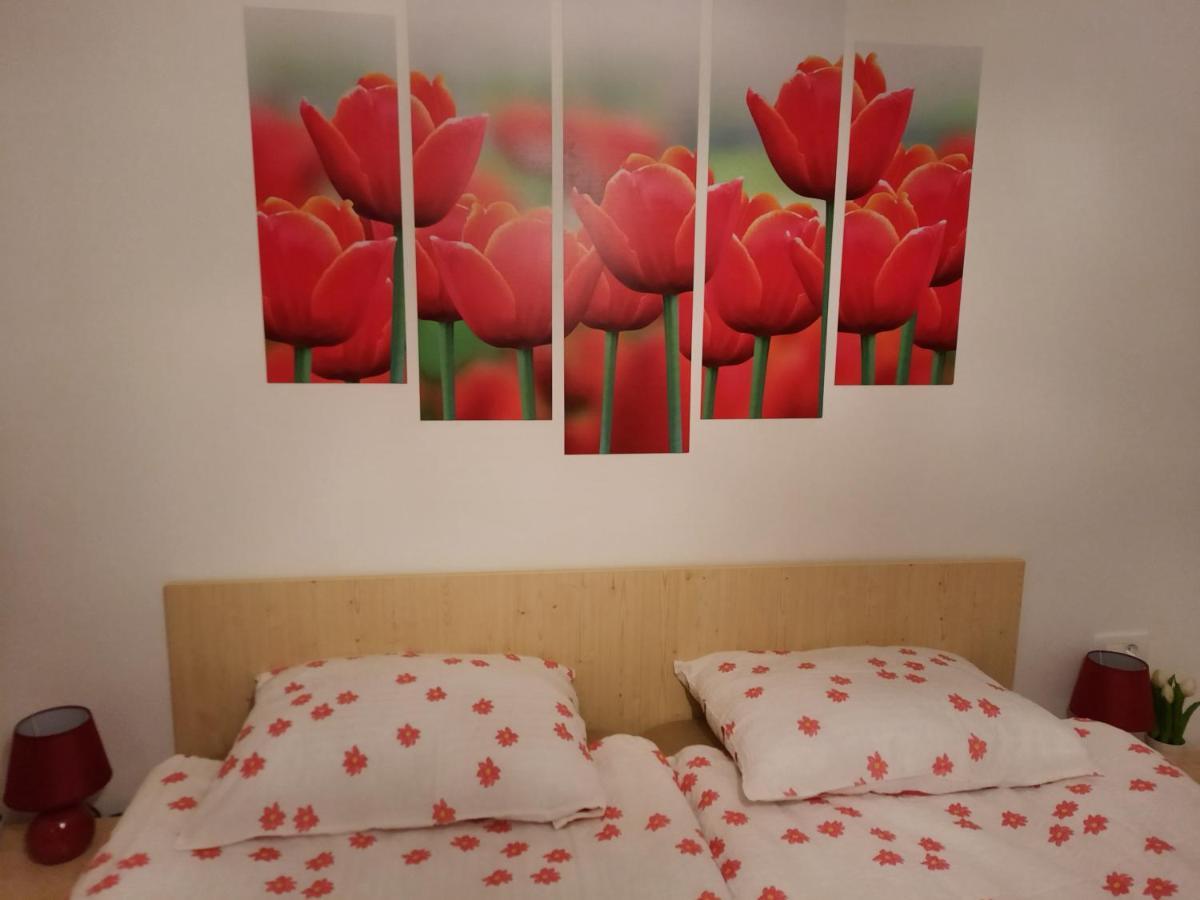 Apartma Rozle