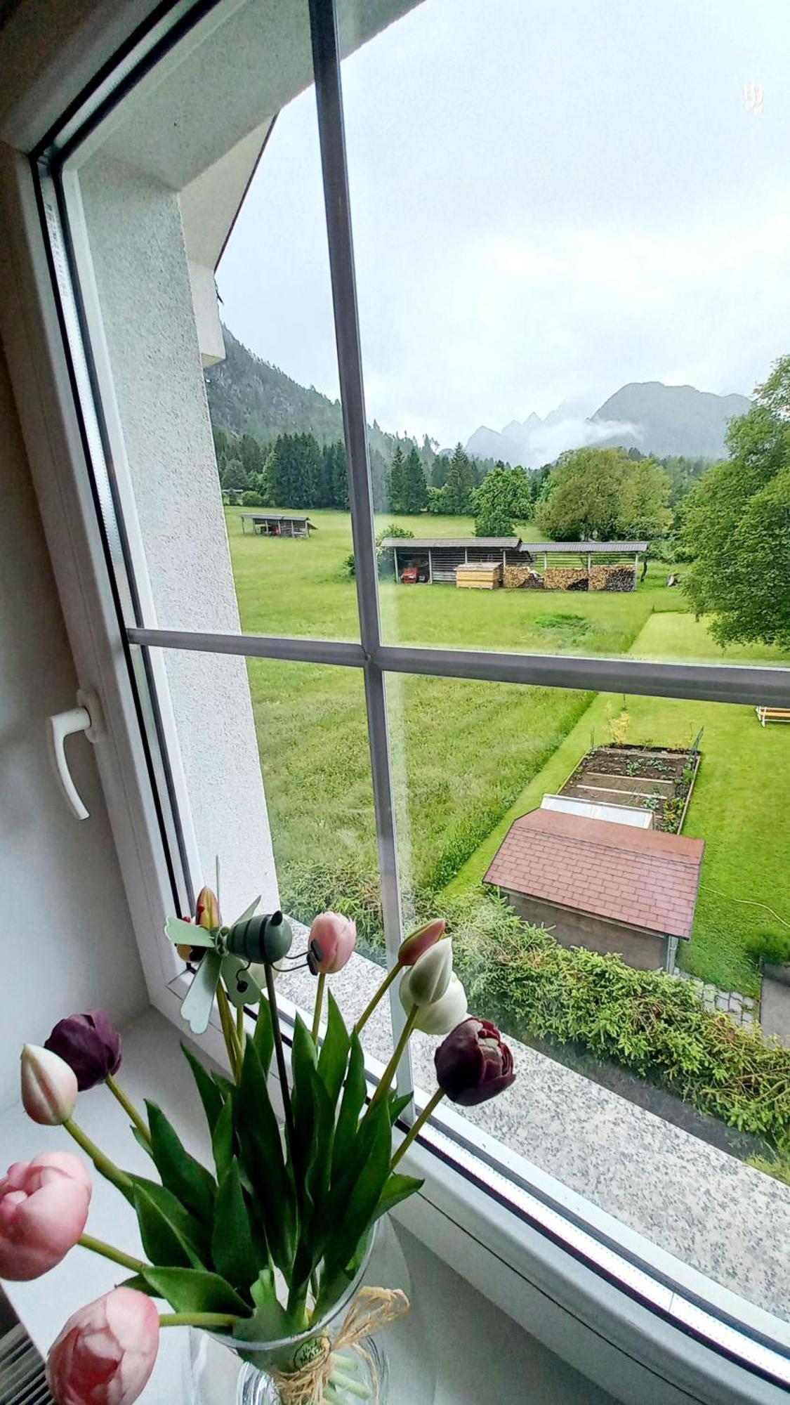 Apartment Apartma Rozle *
