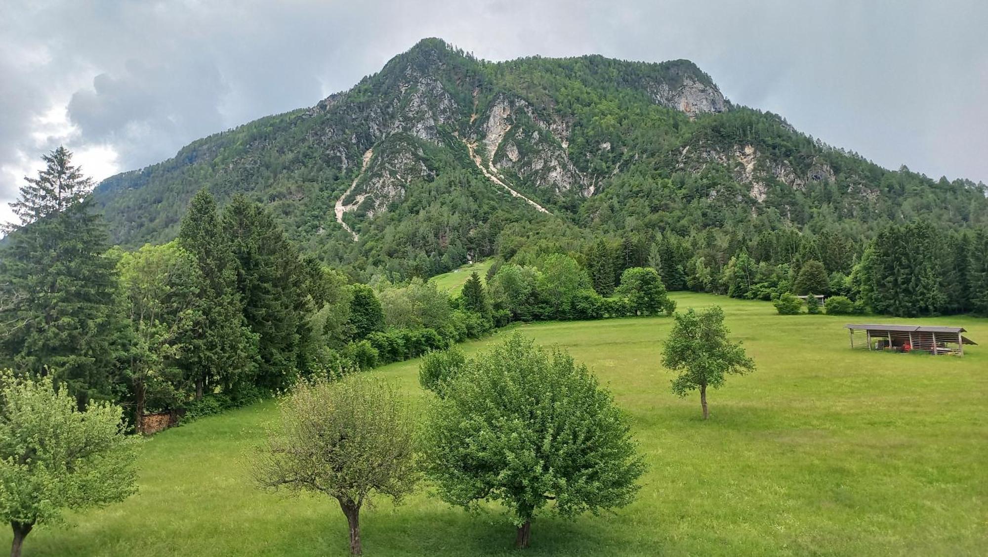 Apartma Rozle *