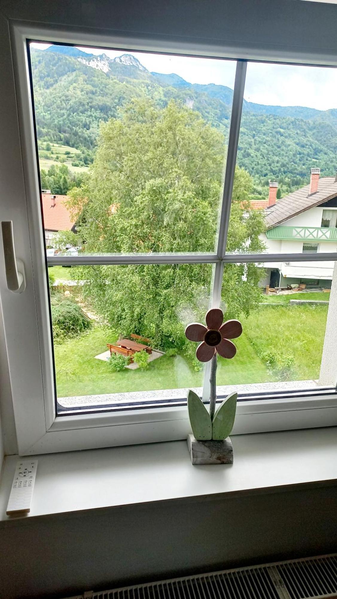 Apartma Rozle Mojstrana